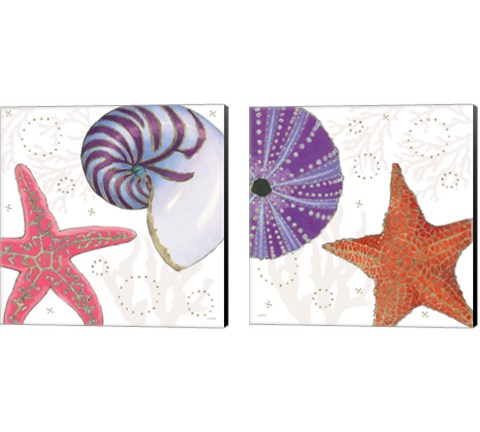 Shimmering Shells 2 Piece Canvas Print Set by James Wiens