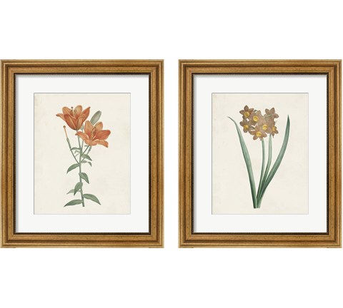 Classic Botanicals 2 Piece Framed Art Print Set by Pierre-Joseph Redoute