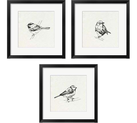 Bird Feeder Friends 3 Piece Framed Art Print Set by Emma Caroline