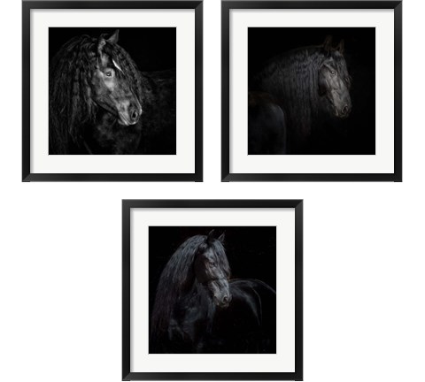 Equine Portrait 3 Piece Framed Art Print Set by PHBurchett
