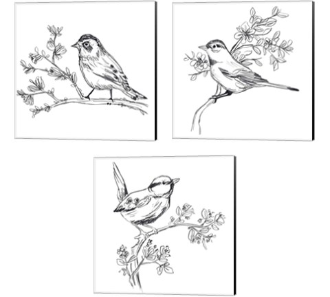 Simple Songbird Sketches 3 Piece Canvas Print Set by June Erica Vess