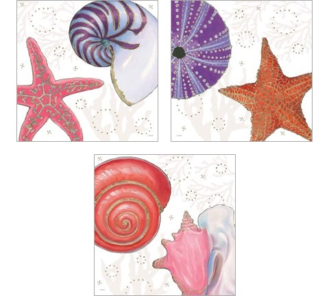 Shimmering Shells 3 Piece Art Print Set by James Wiens