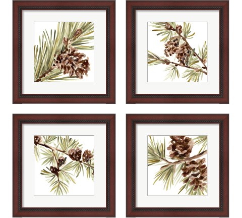 Simple Pine Cone 4 Piece Framed Art Print Set by June Erica Vess