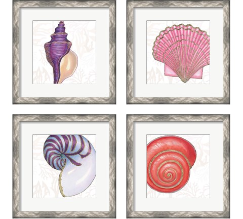 Shimmering Shells 4 Piece Framed Art Print Set by James Wiens
