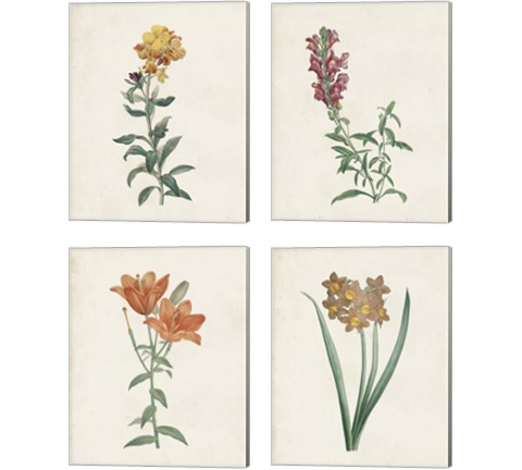 Classic Botanicals 4 Piece Canvas Print Set by Pierre-Joseph Redoute