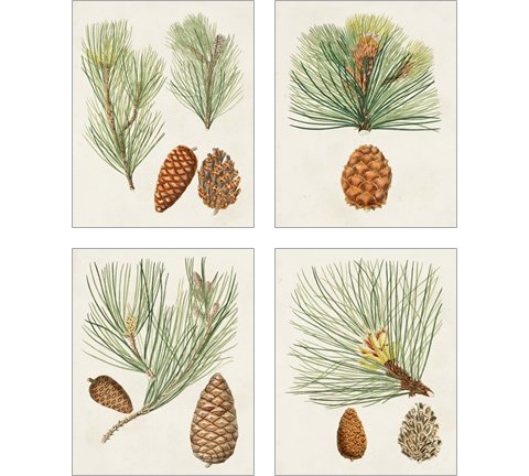 Antique Pine Cones 4 Piece Art Print Set