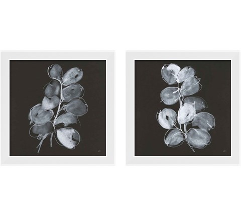 White Eucalyptus 2 Piece Framed Art Print Set by Chris Paschke