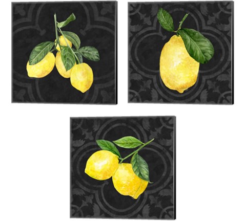 Live with Zest  3 Piece Canvas Print Set by Tara Reed