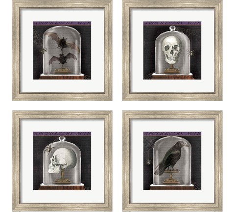 Apothecary Noir 4 Piece Framed Art Print Set by Sue Schlabach