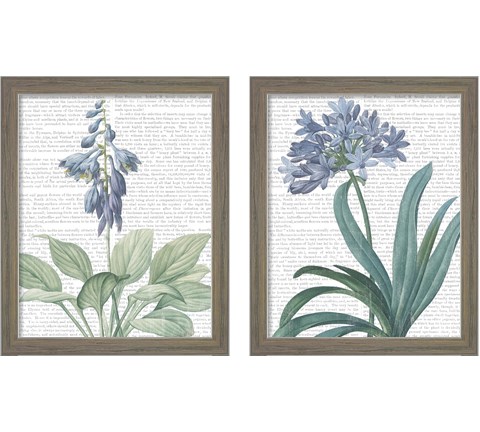 Summer Botanicals 2 Piece Framed Art Print Set by Wild Apple Portfolio