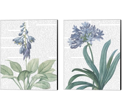 Summer Botanicals 2 Piece Canvas Print Set by Wild Apple Portfolio