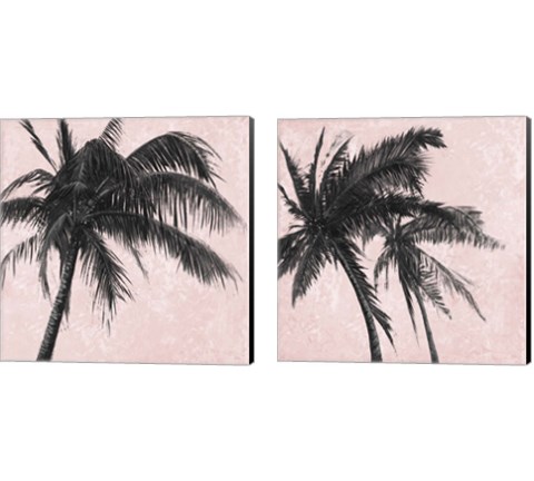 Gray Palm on Pink 2 Piece Canvas Print Set by Patricia Pinto