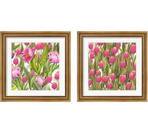 Tulip Symphony 2 Piece Framed Art Print Set by Diannart