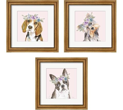 Flower Crown Pet 3 Piece Framed Art Print Set by Patricia Pinto