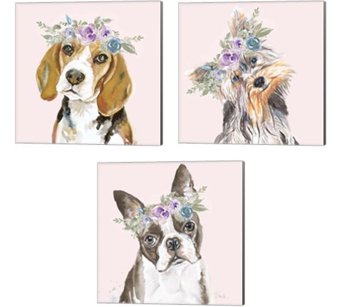 Flower Crown Pet 3 Piece Canvas Print Set by Patricia Pinto