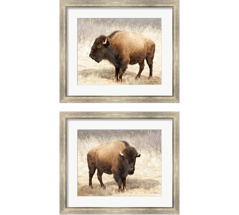 American Bison 2 Piece Framed Art Print Set by Debra Van Swearingen