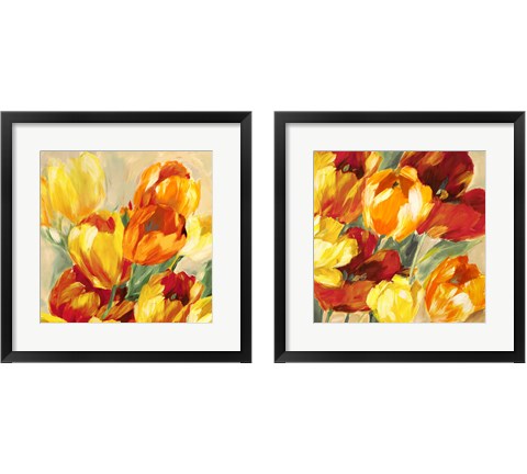 Tulips in the Sun 2 Piece Framed Art Print Set by Jim Stone