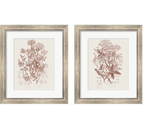 Flowering Plants 2 Piece Framed Art Print Set by Wild Apple Portfolio