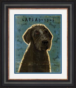 Black Labradoodle by John W. Golden with a custom black frame and double mat