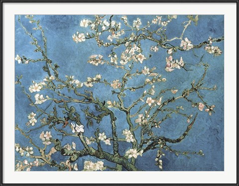 Almond Blossom - Vincent Van Gogh (1988)