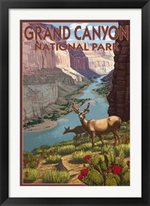 Grand Canyon National Park Poster