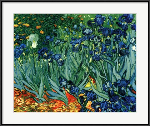 Irises in the Garden - Vincent Van Gogh