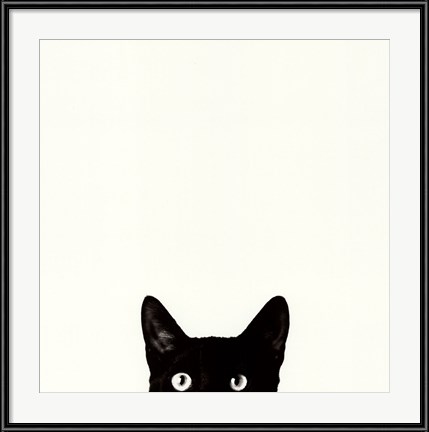 Fun Kids Room Art - Curiosity by John Bertelli