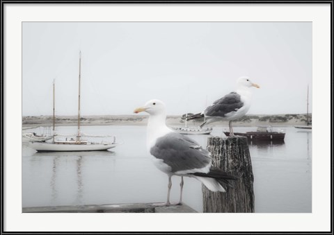 Cottage Art / Seagull Photo: Two Gulls and Boats by Moises Levy