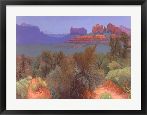 desert landscapes