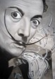 Framed Salvador Dali Prints