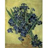 Irises(1890) Art by Vincent Van Gogh at FramedArt.com