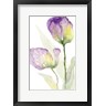 Lanie Loreth - Teal and Lavender Tulips II (R1000861-AEAEAGOFDM)