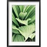 Kathy Mansfield - Green Leaf Blooms I (R1001356-AEAEAGOFDM)