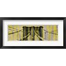Emily Navas - Brooklyn Bridge Type (R1001697-AEAEAGOFDM)