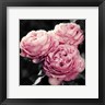 Emily Navas - Pink Florals in Noir (R1001746-AEAEAGOEDM)