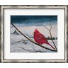James Redding - Cardinal In A Pastel Sky (R1002242-AEAEAGKFGE)