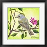 James Redding - Tropical Bird (R1002272-AEAEAGOFDM)
