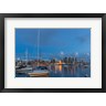 Chuck Haney / Danita Delimont - San Diego Harbor Skyline (R1003873-AEAEAGOFDM)