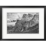 John Ford / DanitaDelimont - California, Yosemite, Bridalveil Falls (BW) (R1003960-AEAEAGOFDM)