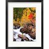 Russ Bishop / DanitaDelimont - Autumn Along Bishop Creek (R1004044-AEAEAGOFDM)