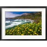 Russ Bishop / DanitaDelimont - Wildflowers Above Sand Dollar Beach (R1004087-AEAEAGOFDM)
