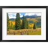 John Alves / Danita Delimont - Autumn Colors In The San Juan Mountains, Colorado (R1004154-AEAEAGOFDM)