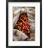 Russ Bishop / DanitaDelimont - Harvested Coffee Cherries In A Burlap Sack, Hawaii (R1004248-AEAEAGOFDM)