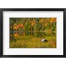 Michel Hersen / Danita Delimont - Autumn Reflections In Bubble Pond, Acadia National Park, Maine (R1004359-AEAEAGOFDM)