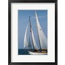 Walter Bibikow - Schooner #22 Sailing, Massachusetts (R1004415-AEAEAGOFDM)