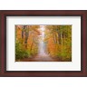 Richard & Susan Day / DanitaDelimont - Autumn Road In Schoolcraft County, Michigan (R1004475-AEAEAGLFGM)