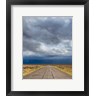 Jaynes Gallery / Danita Delimont - Road Into Approaching Storm, Nevada (R1004523-AEAEAGOFDM)