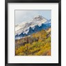 Jaynes Gallery / Danita Delimont - Foggy Mountain In Humboldt National Forest, Nevada (R1004526-AEAEAGOFDM)