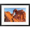 Chuck Haney / Danita Delimont - Fire State Park's Elephant Rock, Nevada (R1004531-AEAEAGOFDM)
