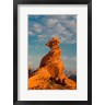 Judith Zimmerman / DanitaDelimont - Sunset On Balancing Rock, Nevada (R1004540-AEAEAGOFDM)